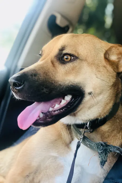 Красивая Марта