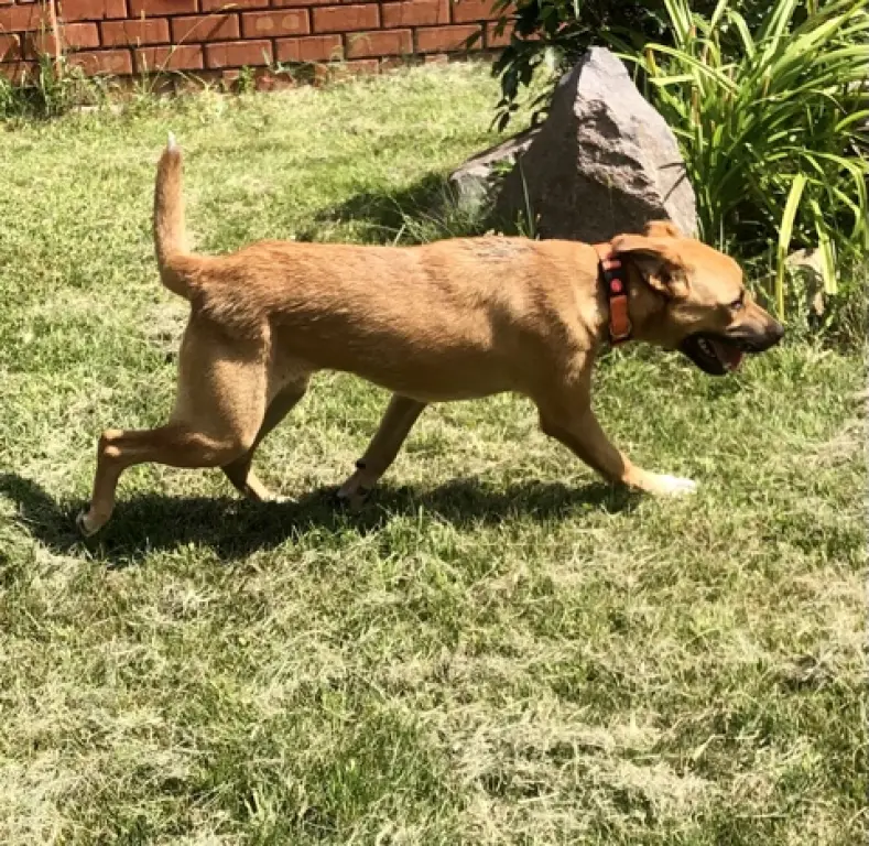 Красивая Марта