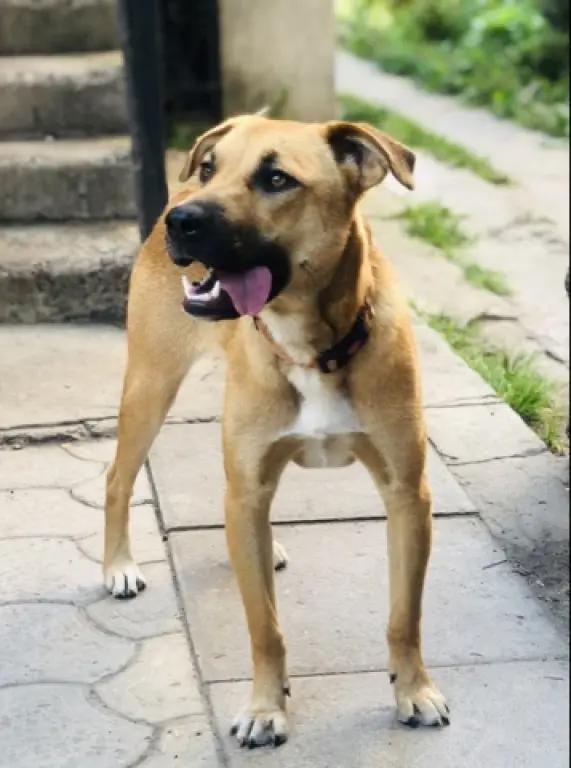 Красивая Марта