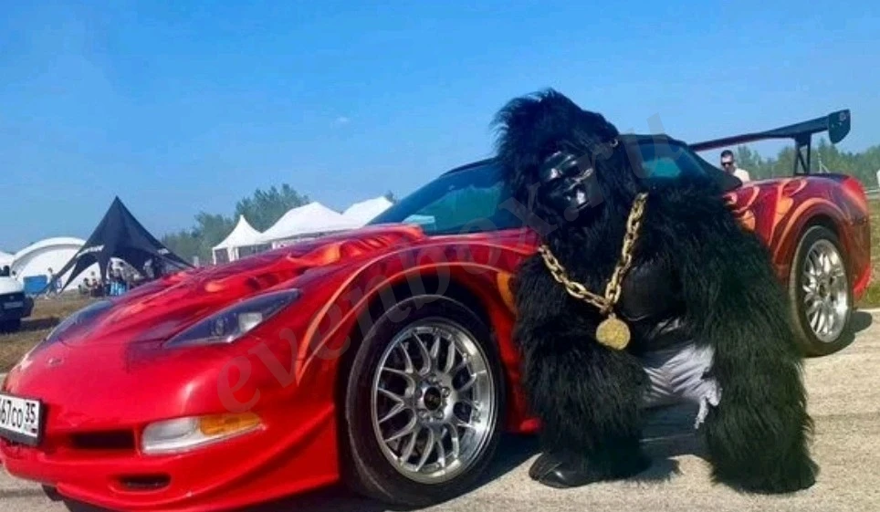 Аниматор на праздник