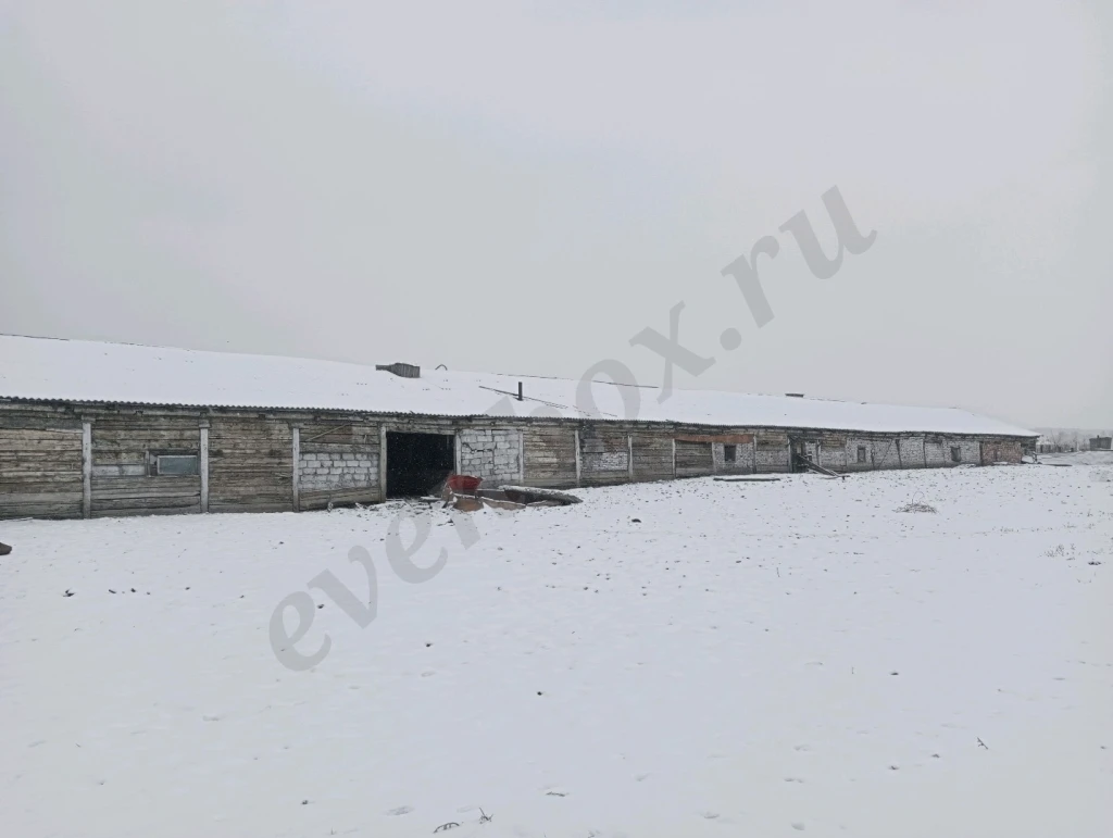 Участок с фермой