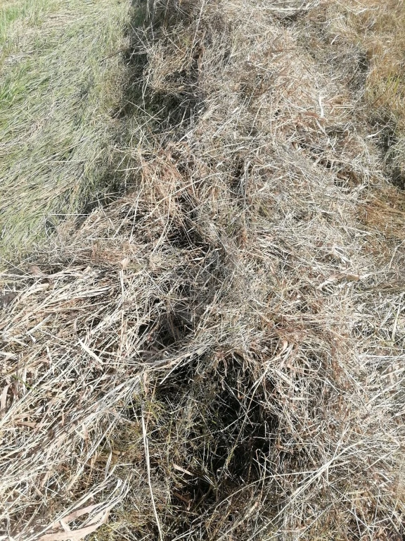 сено в рулонах и квадратных тюках