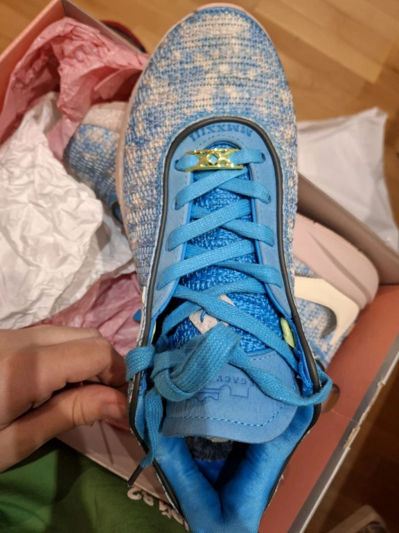 Баскетбольные кроссовки Nike LeBron 20