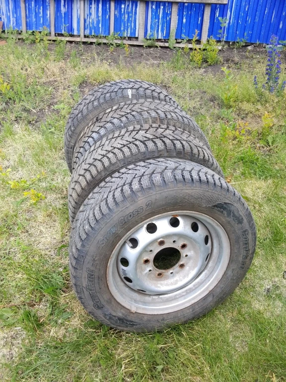 шины зима на дисках