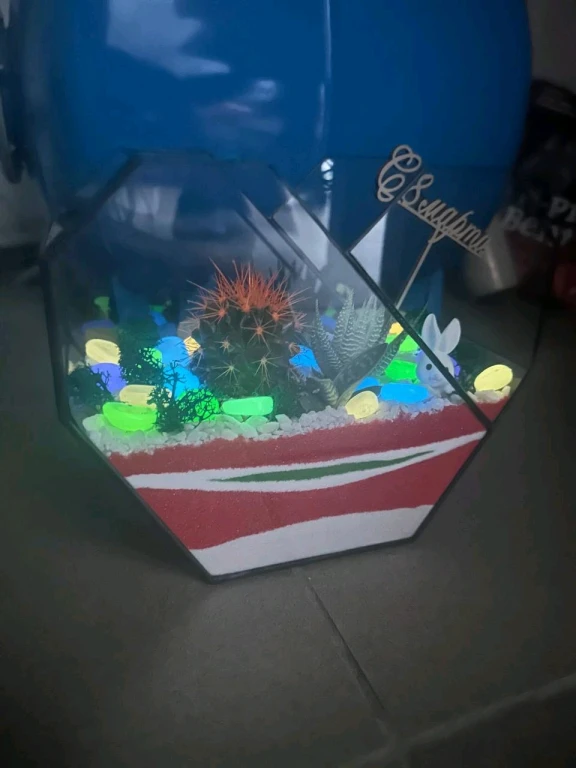 Флорариум сердце💜
