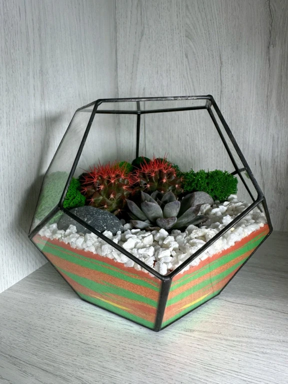 Флорариум Шар 🦚🌵