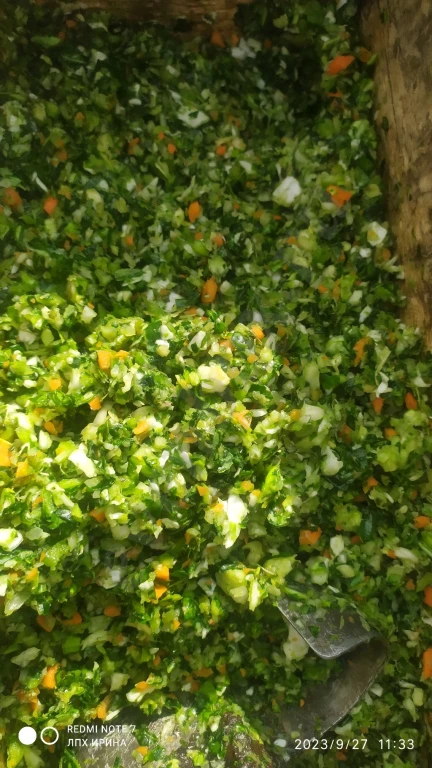 квашеная серая капуста для щей