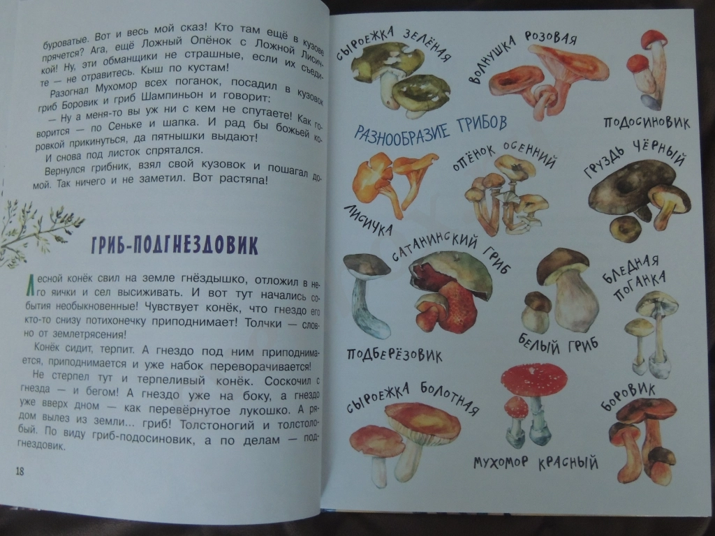 Книга Рассказы и сказки о животных