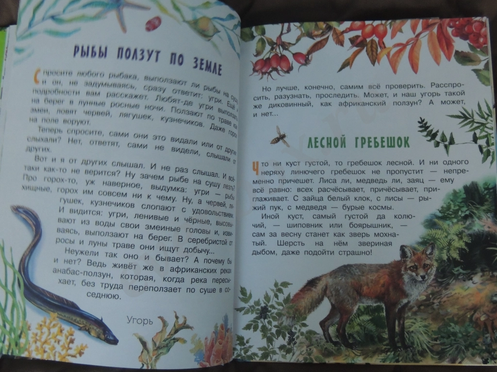 Книга Рассказы и сказки о животных