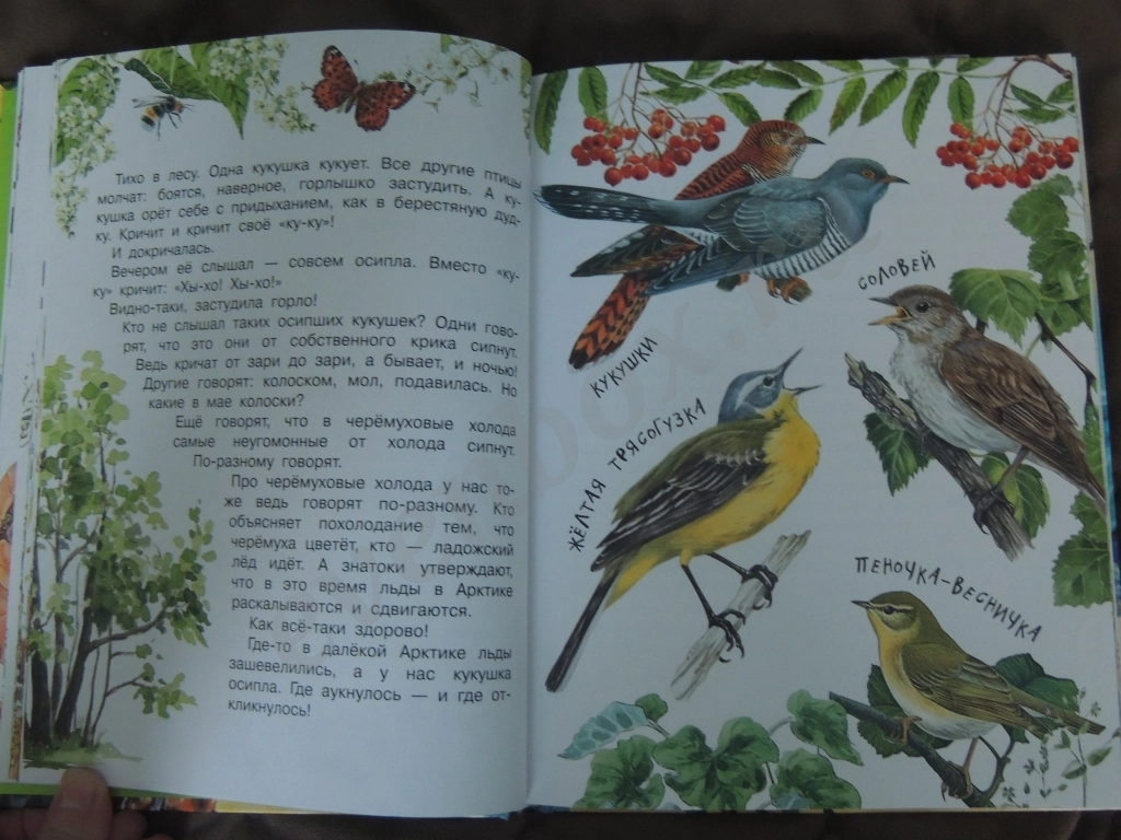 Книга Рассказы и сказки о животных