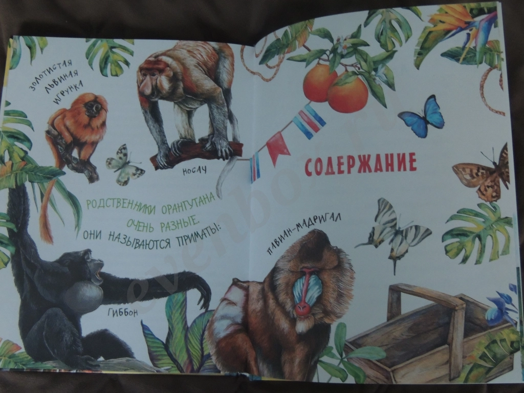 Книга Рассказы и сказки о животных