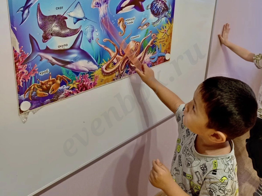 Детский сад с яслями КоалаМама (Янино-1; от 1,2 лет)