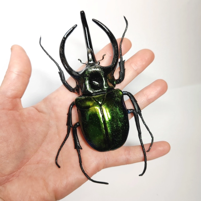 Жуки и другие насекомые. Фигурки.