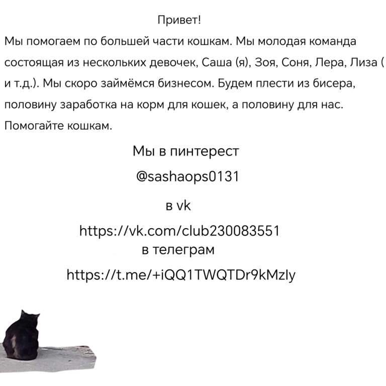 Помогать бездомным животным😺!!