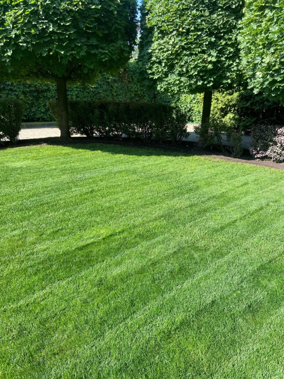 Стрижка газона, покос травы, звоните, не всегда читаю сообщения!!!