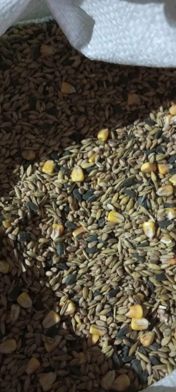 Овес, зерносмесь и многое другое