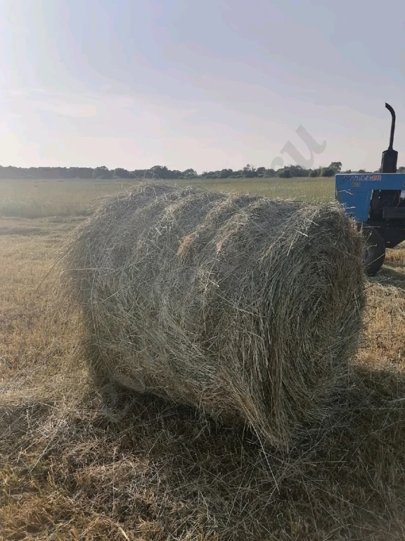сено в рулонах и квадратных тюках