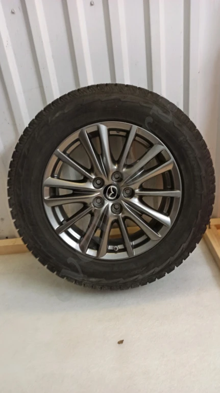 шины и диски