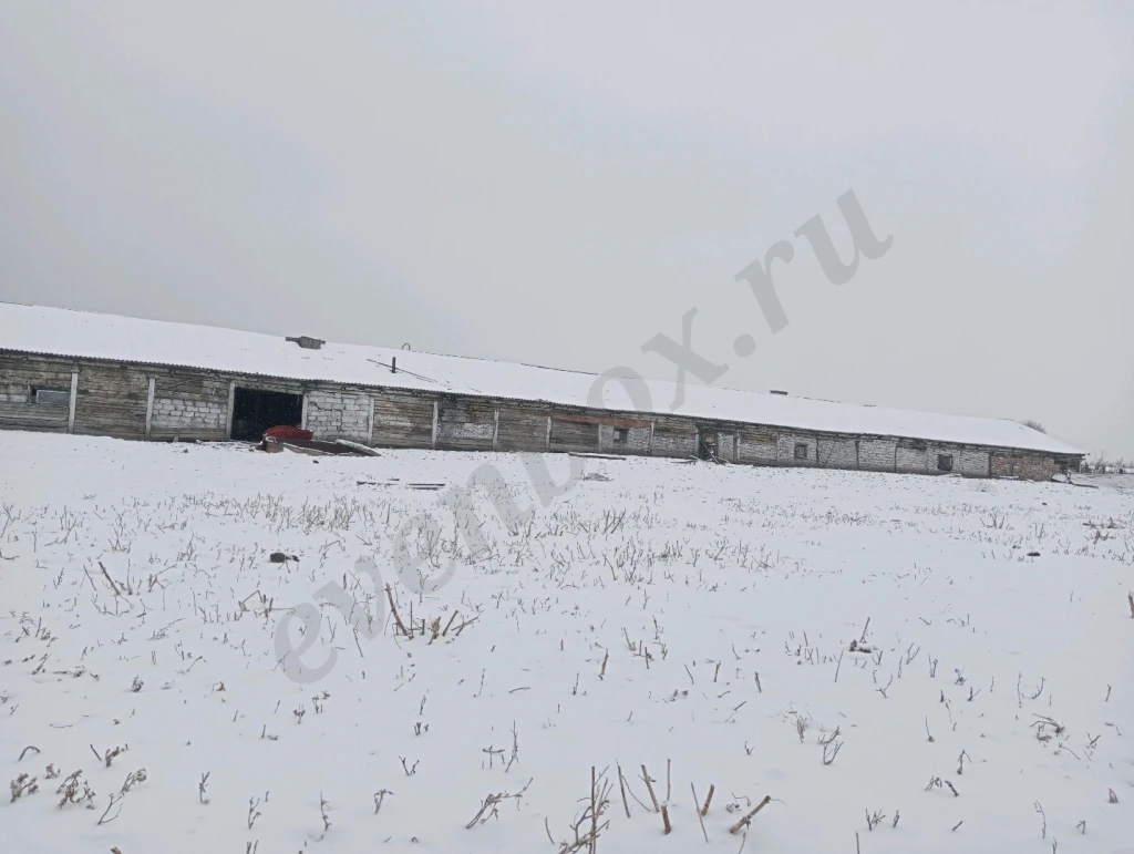 Участок с фермой