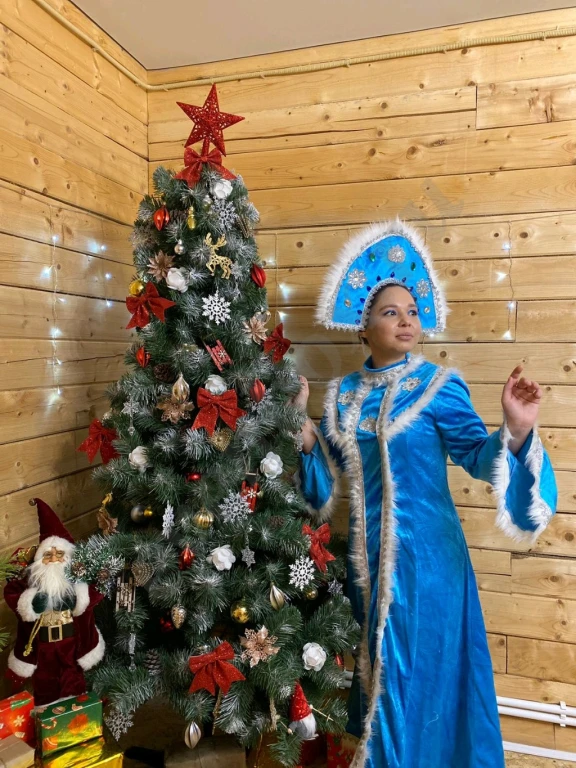 Дед Мороз и Снегурочка на дом