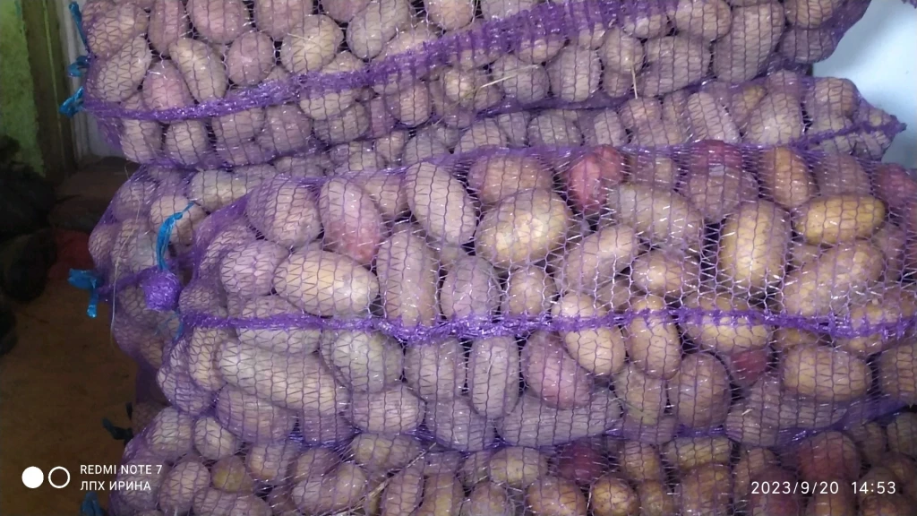 свойский картофель