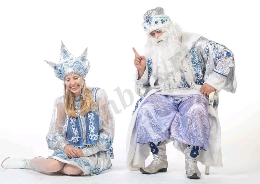 дед Мороз на дом