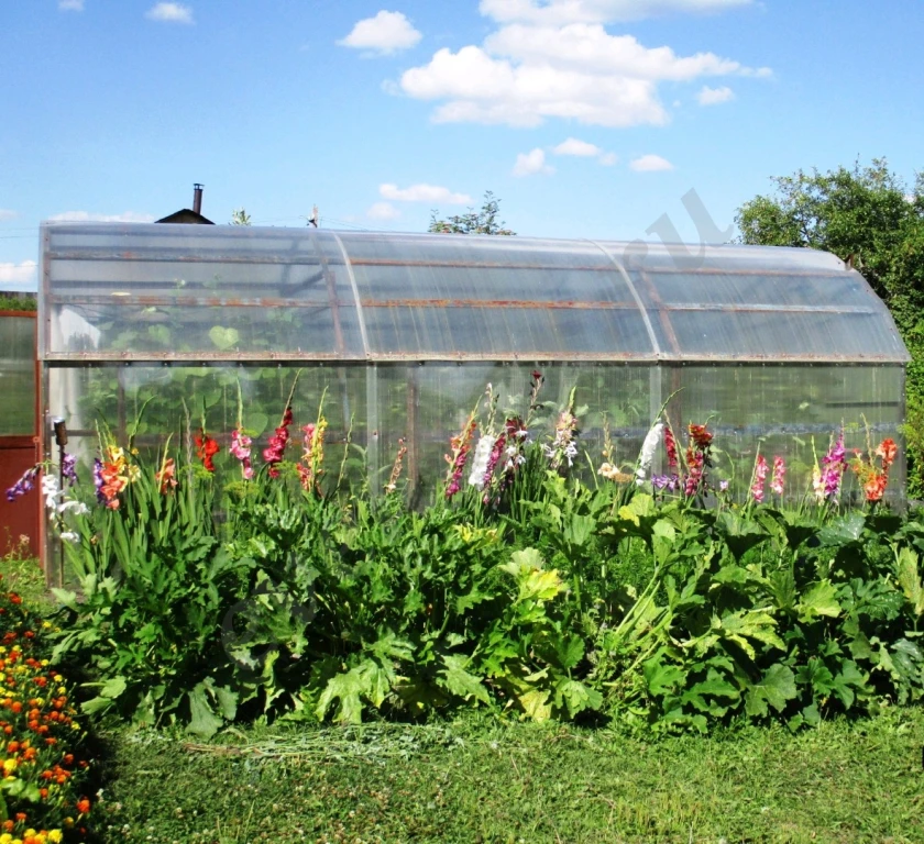 работник на теплицу в москву
