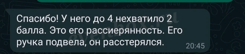 Репетитор по русскому языку (ЕГЭ, ОГЭ, ВПР)