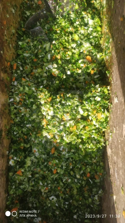 квашеная серая капуста для щей