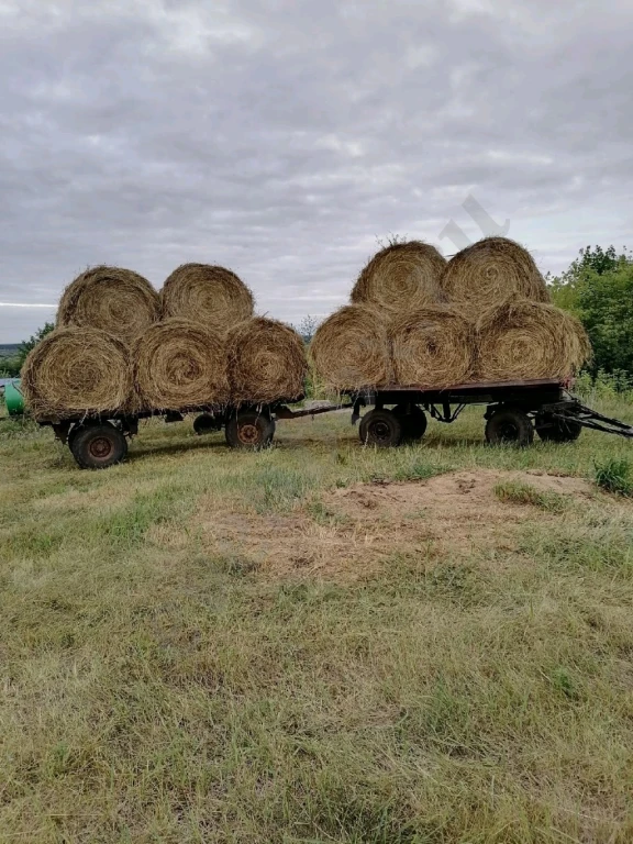 сено в рулонах и квадратных тюках