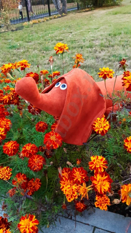 Такса Брауни