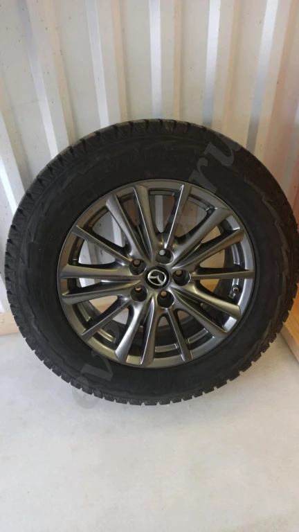 шины и диски