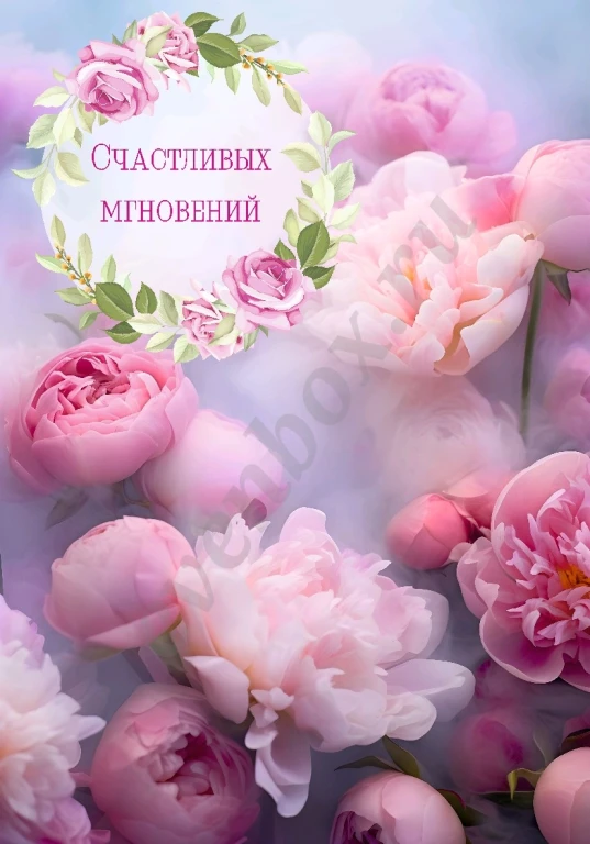 Отрисовка в векторе