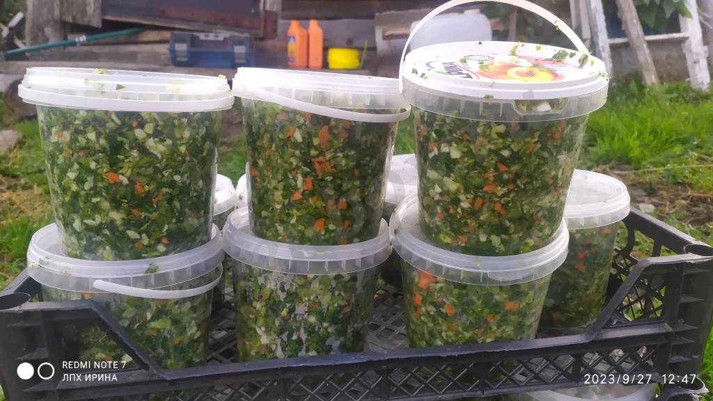 квашеная серая капуста для щей