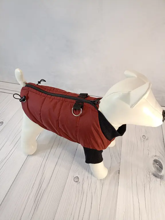 Одежда для собак