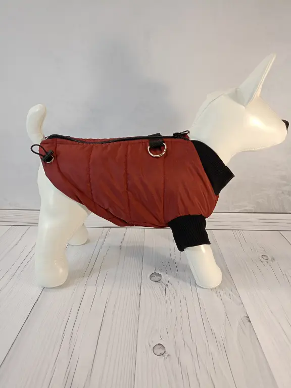 Одежда для собак