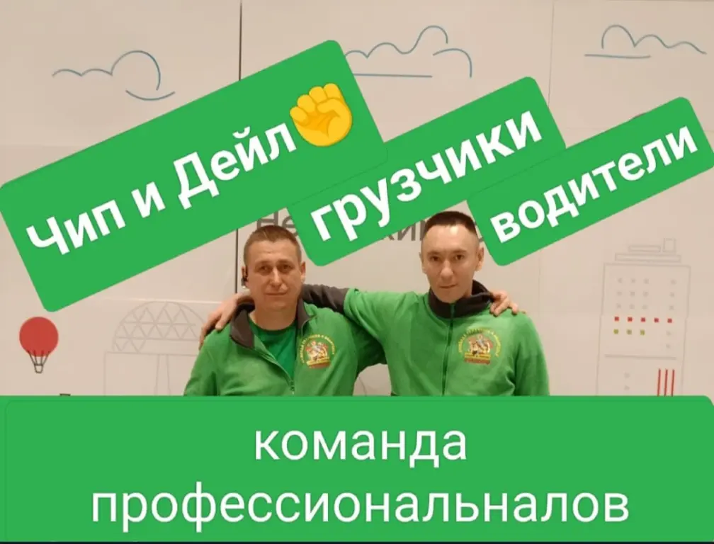 Команда грузчиков и водителей Чип и Дейл